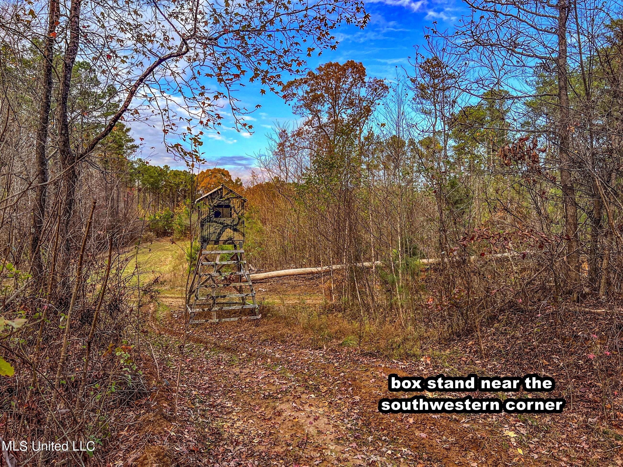 1242 A Rock Hill Road Como, MS 38619 - Photo 57 of 151 yst156a