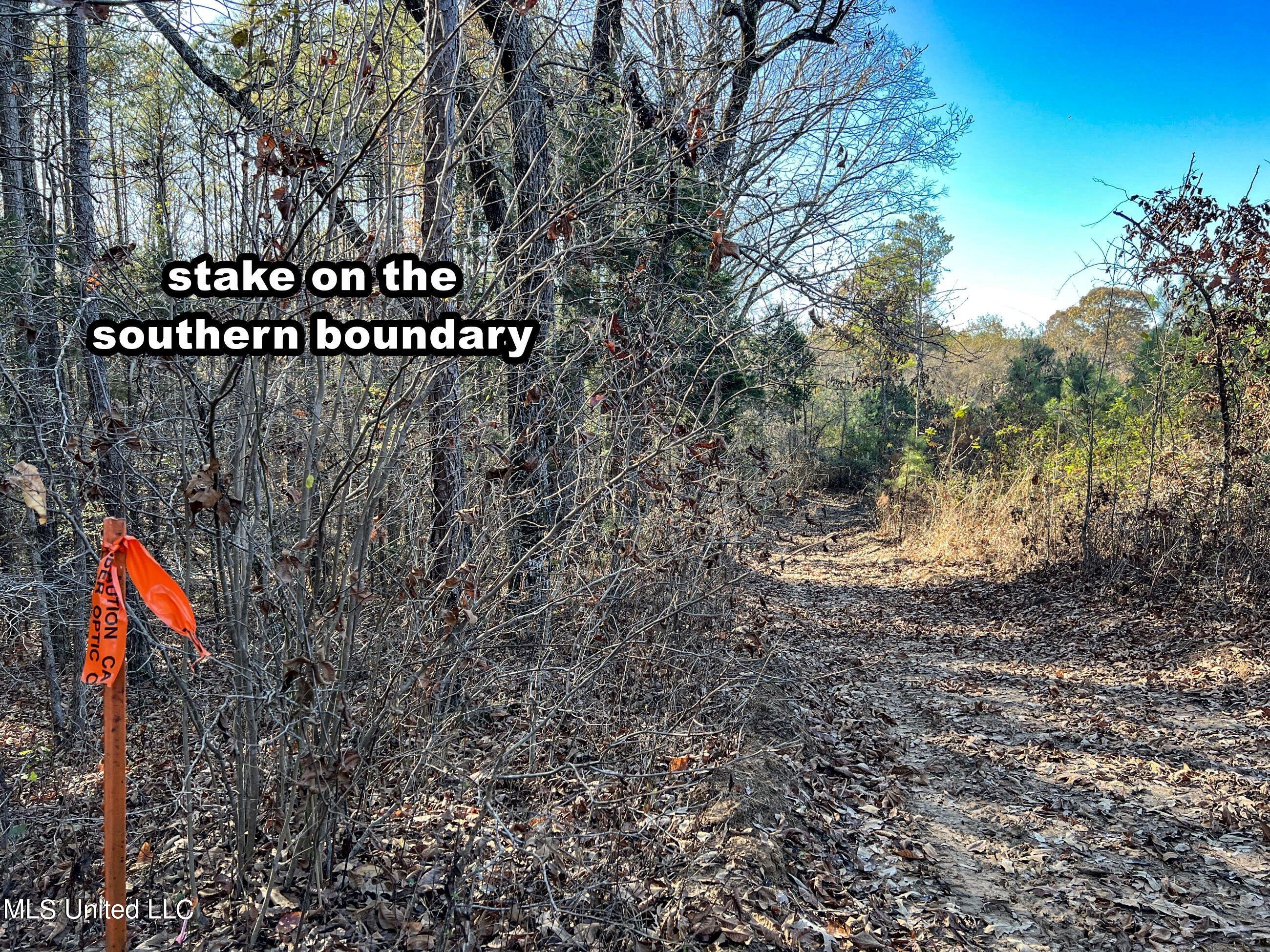 1242 A Rock Hill Road Como, MS 38619 - Photo 58 of 151 yst182