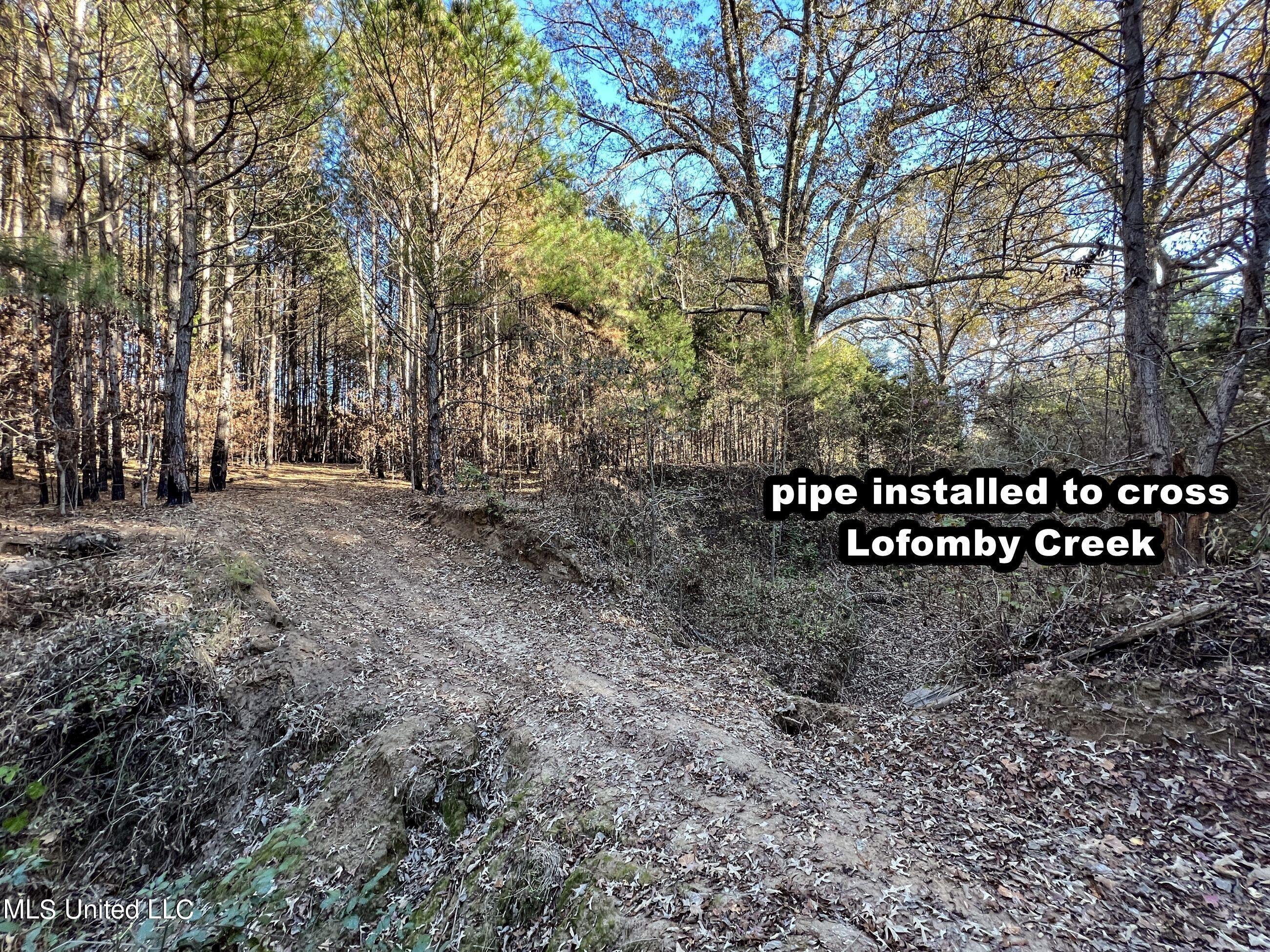 1242 A Rock Hill Road Como, MS 38619 - Photo 59 of 151 yst186
