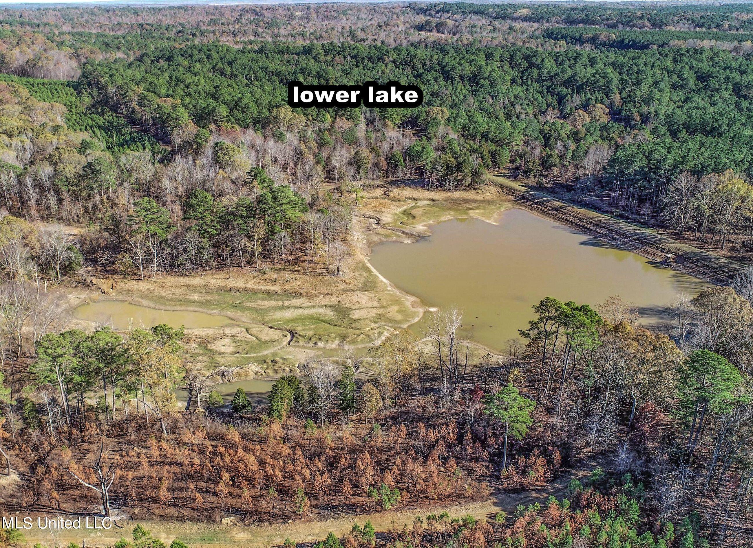 1242 A Rock Hill Road Como, MS 38619 - Photo 60 of 151 yst191.1