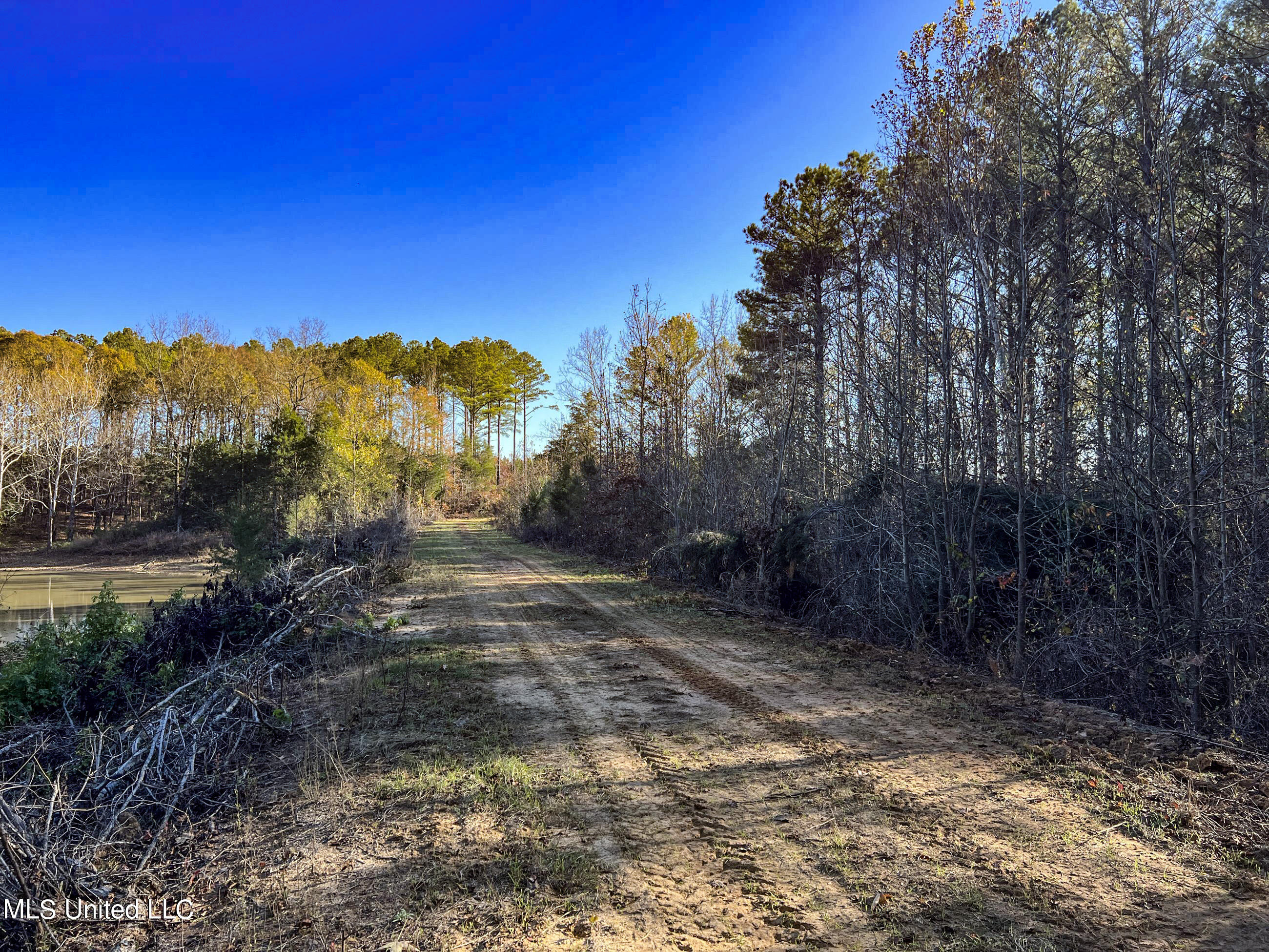 1242 A Rock Hill Road Como, MS 38619 - Photo 61 of 151 yst191