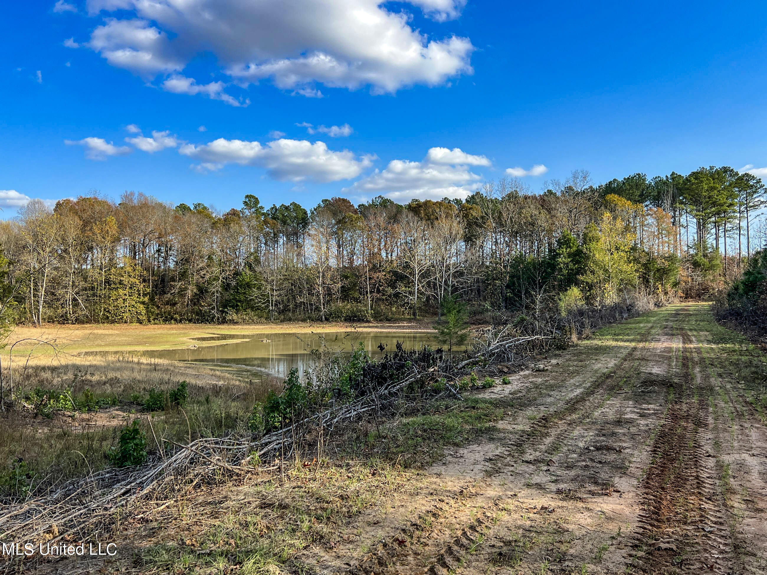 1242 A Rock Hill Road Como, MS 38619 - Photo 62 of 151 yst191b