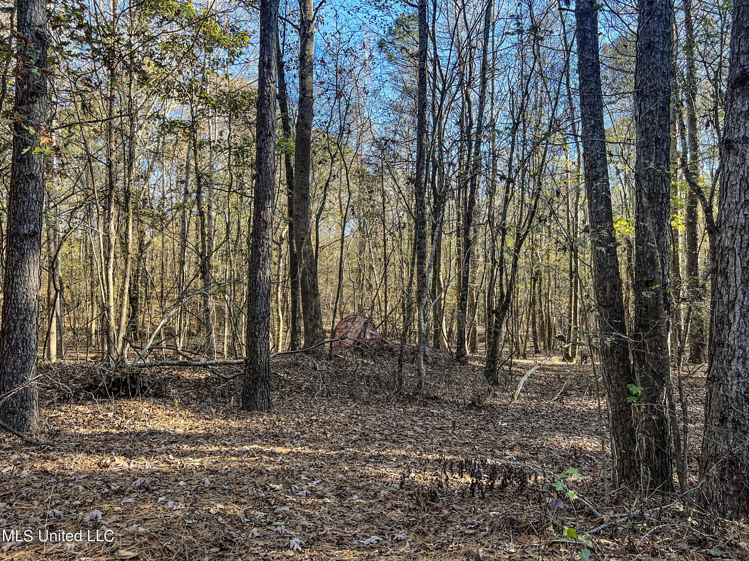 1242 A Rock Hill Road Como, MS 38619 - Photo 64 of 151 yst197