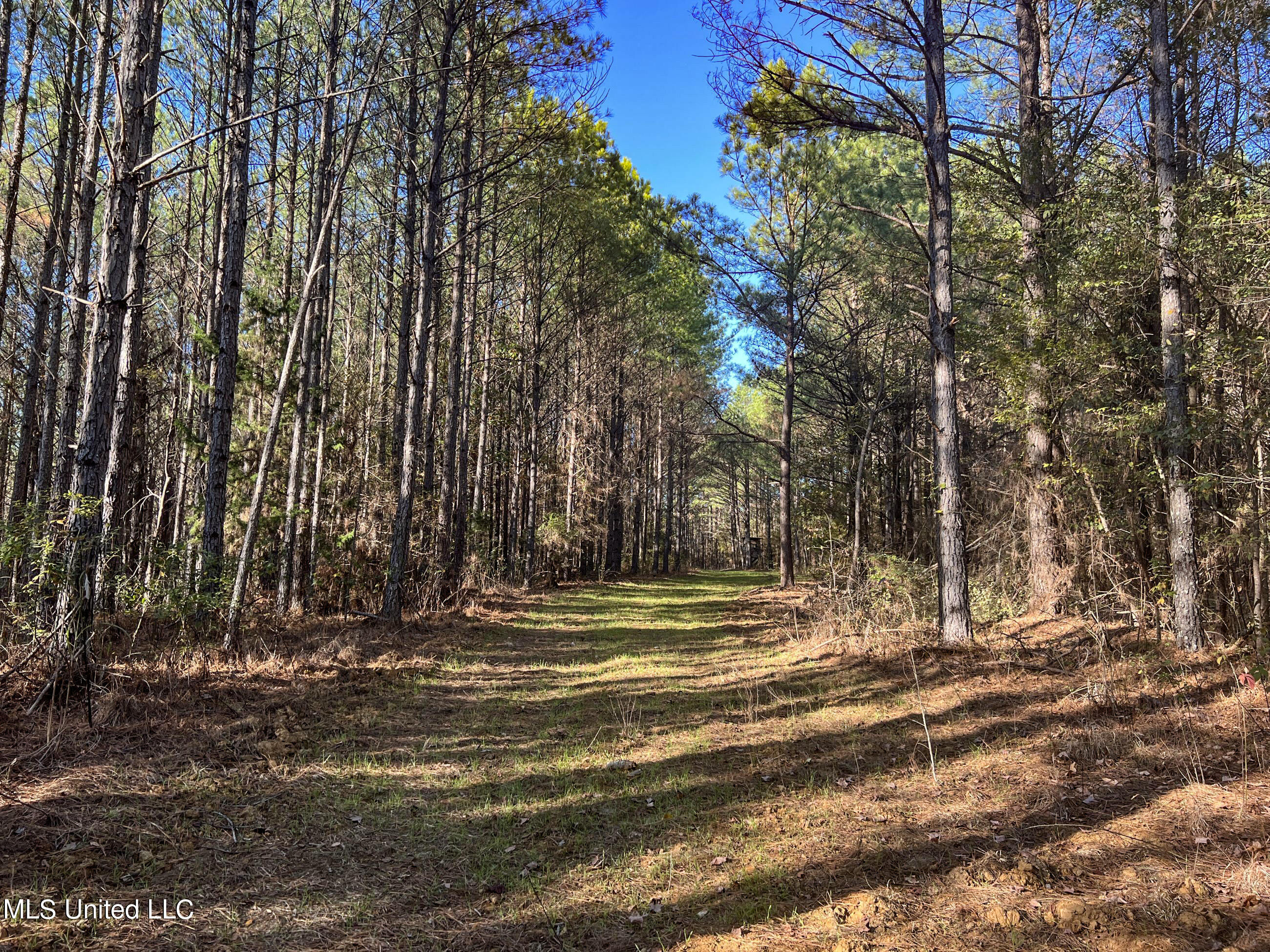 1242 A Rock Hill Road Como, MS 38619 - Photo 65 of 151 yst200
