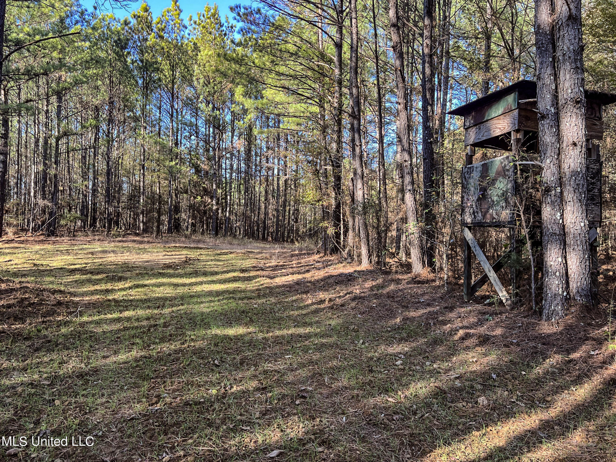 1242 A Rock Hill Road Como, MS 38619 - Photo 66 of 151 yst203