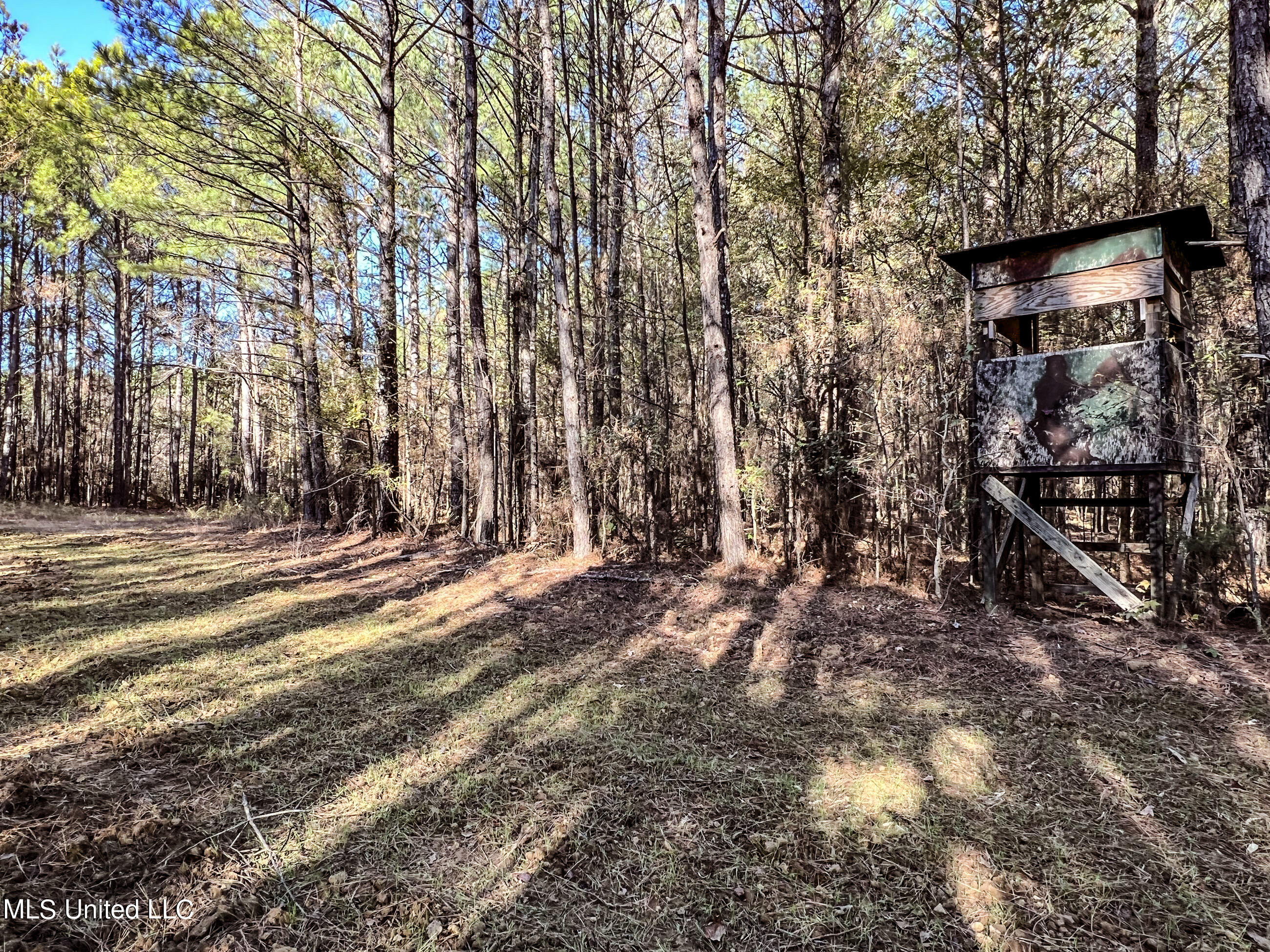 1242 A Rock Hill Road Como, MS 38619 - Photo 67 of 151 yst204