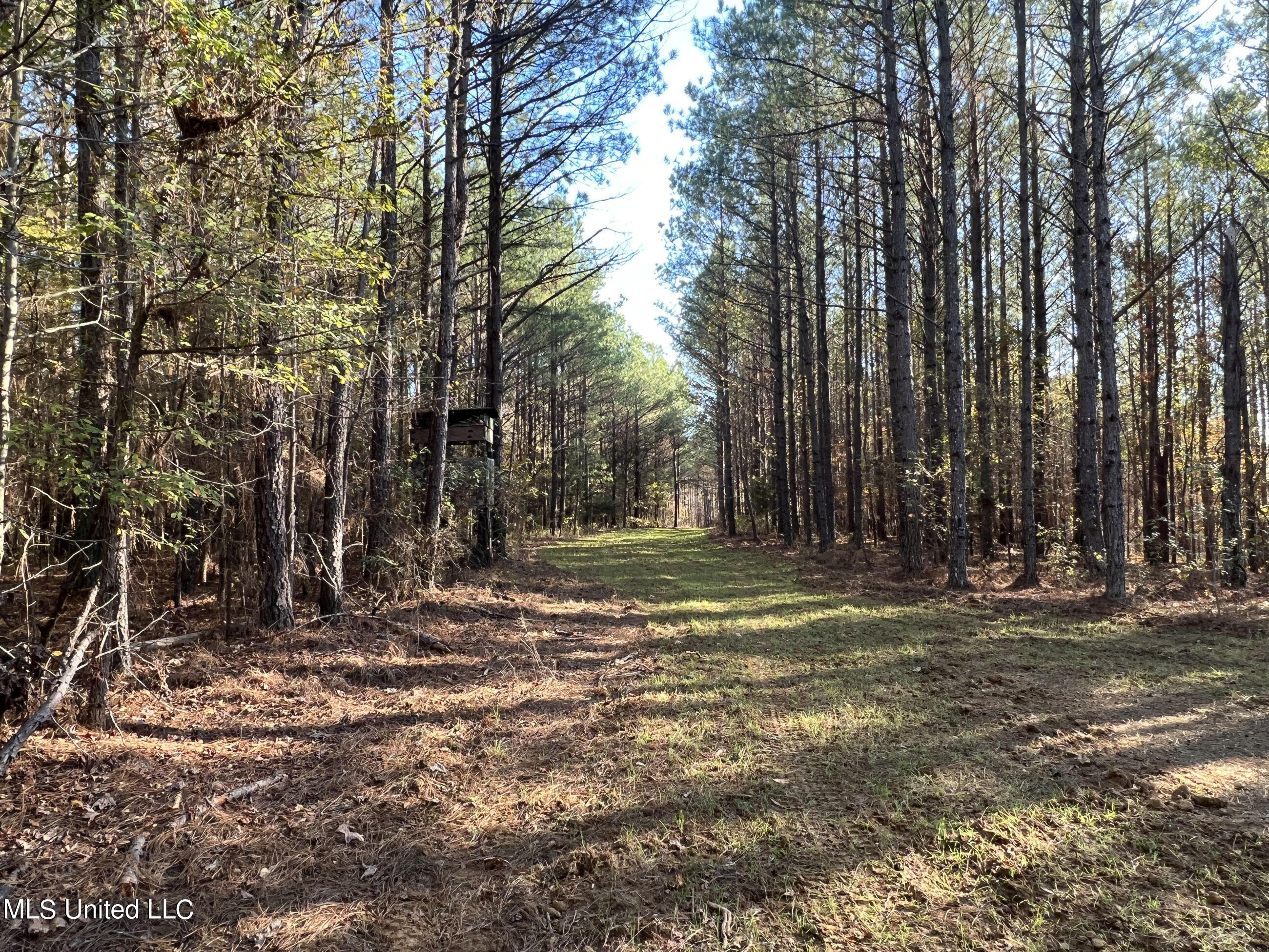 1242 A Rock Hill Road Como, MS 38619 - Photo 68 of 151 yst205