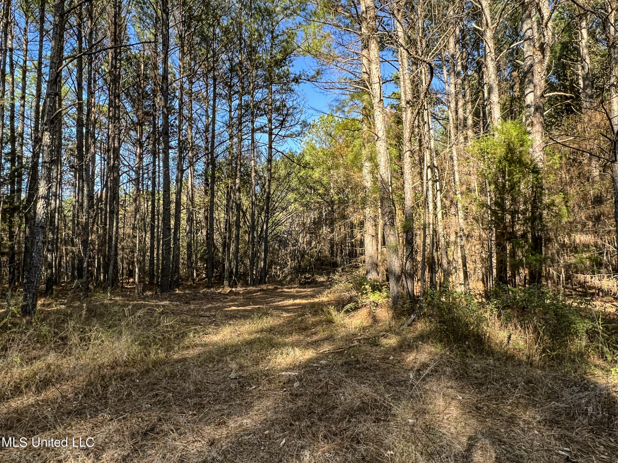 1242 A Rock Hill Road Como, MS 38619 - Photo 69 of 151 yst207