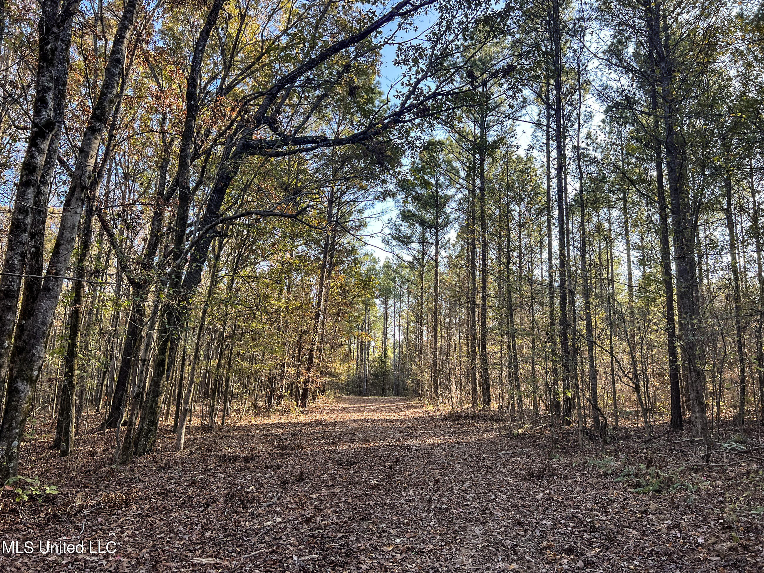 1242 A Rock Hill Road Como, MS 38619 - Photo 71 of 151 yst226