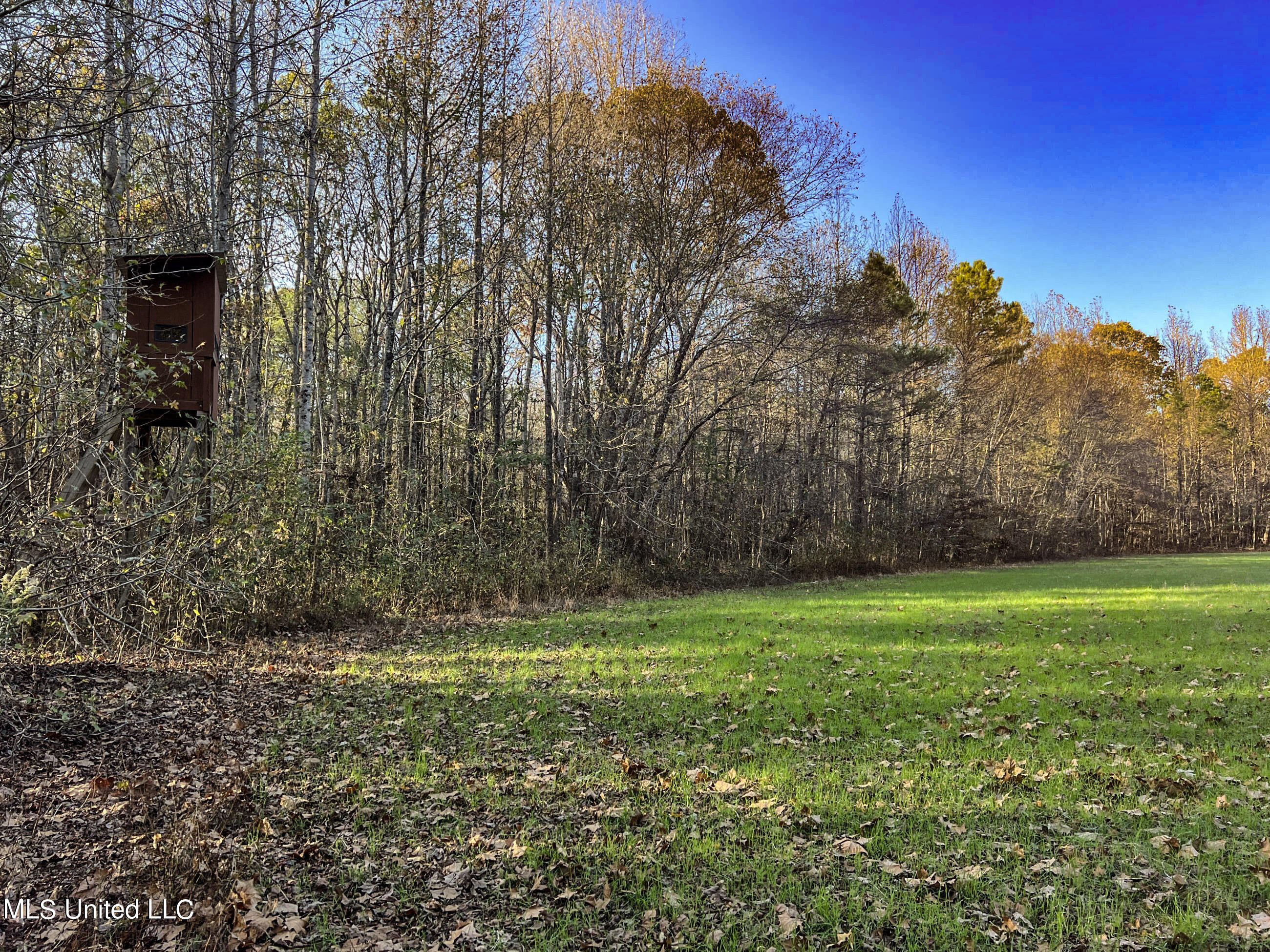 1242 A Rock Hill Road Como, MS 38619 - Photo 73 of 151 yst227
