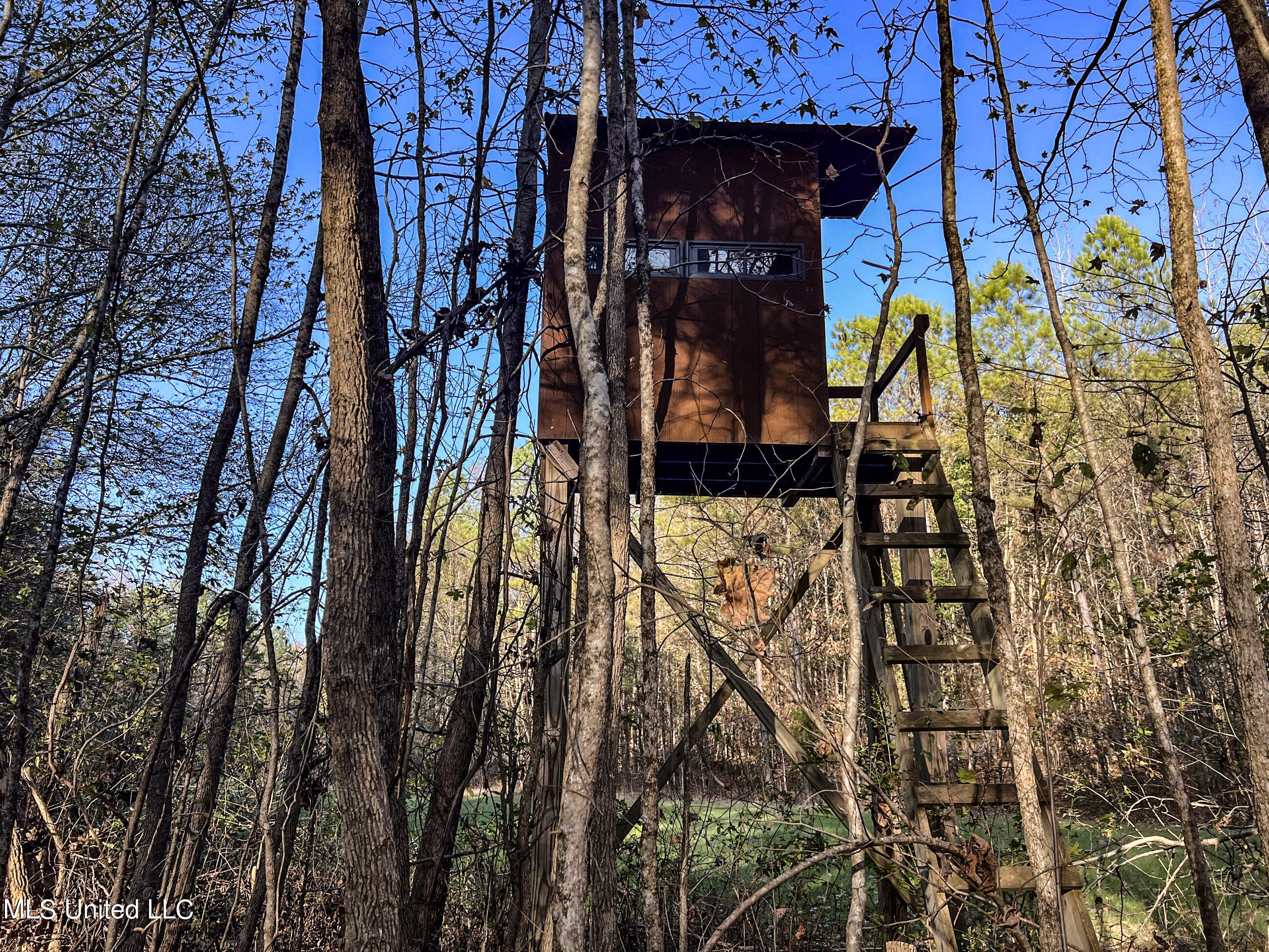 1242 A Rock Hill Road Como, MS 38619 - Photo 74 of 151 yst228