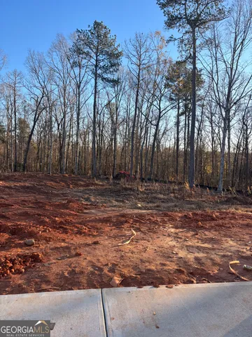 a view of space with tree