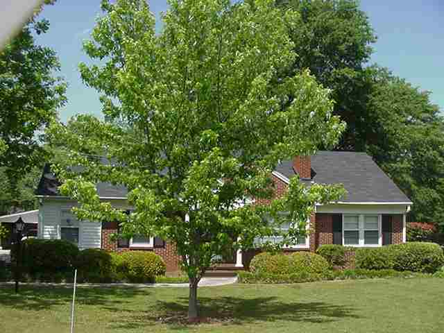 2300 Bellview Road Anderson, SC 29621 - Photo 11 of 12