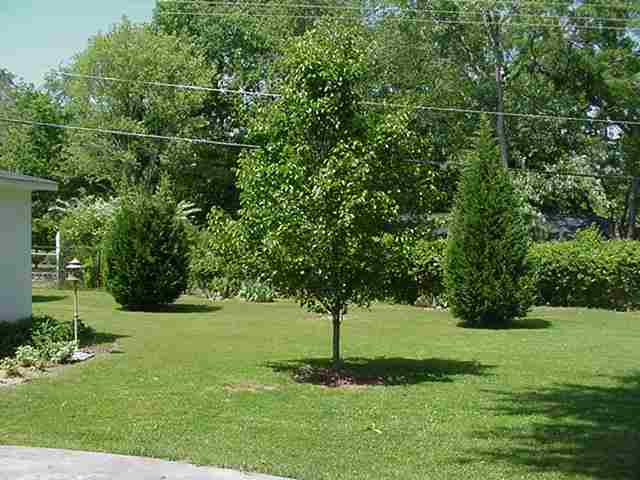 2300 Bellview Road Anderson, SC 29621 - Photo 3 of 12
