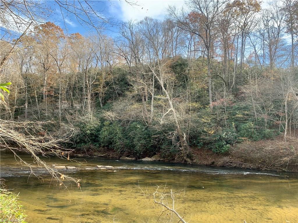 View of Dan River standing on Property. Small mouth bass fishing, canoe, kayaking, camping & picnic spot