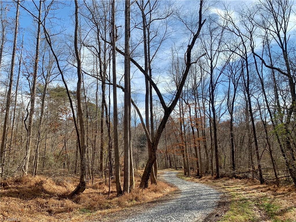 0 Mission Road Danbury, NC 27016 - Photo 2 of 27 Standing on gravel driveway/Access #2 on property beside river building site