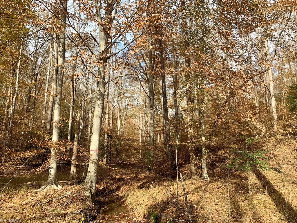 0 Mission Road Danbury, NC 27016 - Photo 12 of 27 small stream on property feeds into Dan River. Mature hardwood forest.