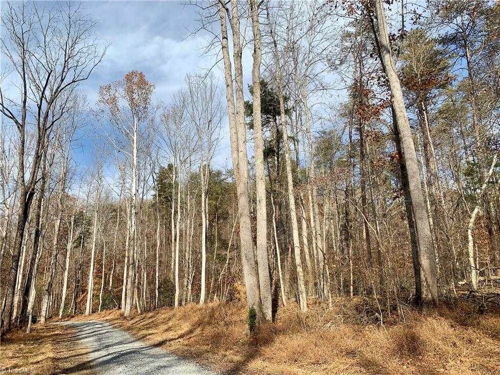 0 Mission Road Danbury, NC 27016 - Photo 13 of 27 Standing on gravel driveway/Access #2 on property