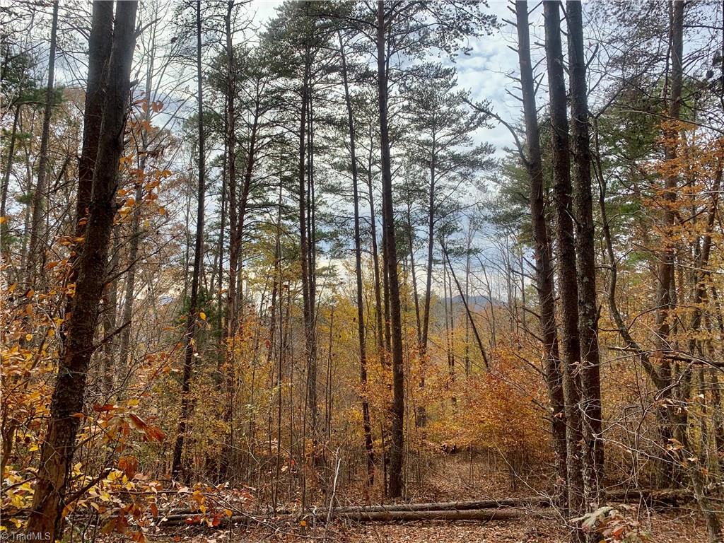 0 Mission Road Danbury, NC 27016 - Photo 16 of 27 Clear off building site to expose long range views of Sauratown Mtn and Hanging Rock State Park
