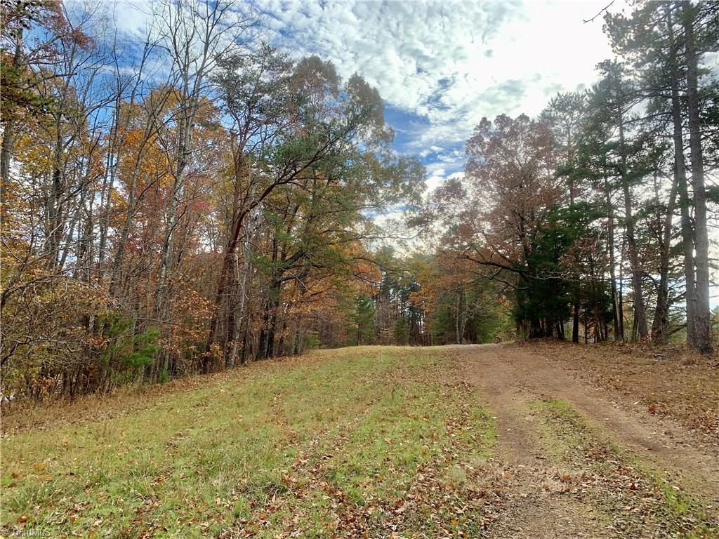 0 Mission Road Danbury, NC 27016 - Photo 18 of 27 Standing on driveway/Access #1 looking towards lot located in the background