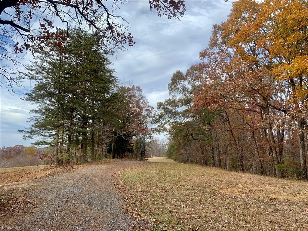 0 Mission Road Danbury, NC 27016 - Photo 19 of 27 Standing on gravel driveway/Access #1 looking back towards neighborhood entrance