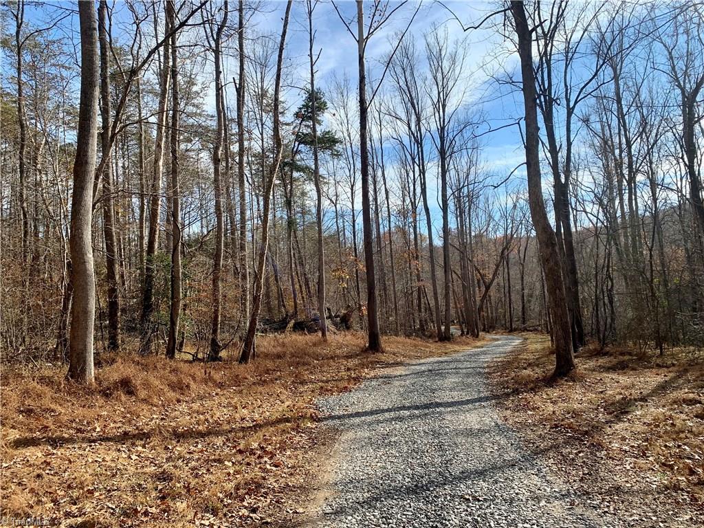 0 Mission Road Danbury, NC 27016 - Photo 5 of 27 Standing on gravel driveway/Access #2 on property