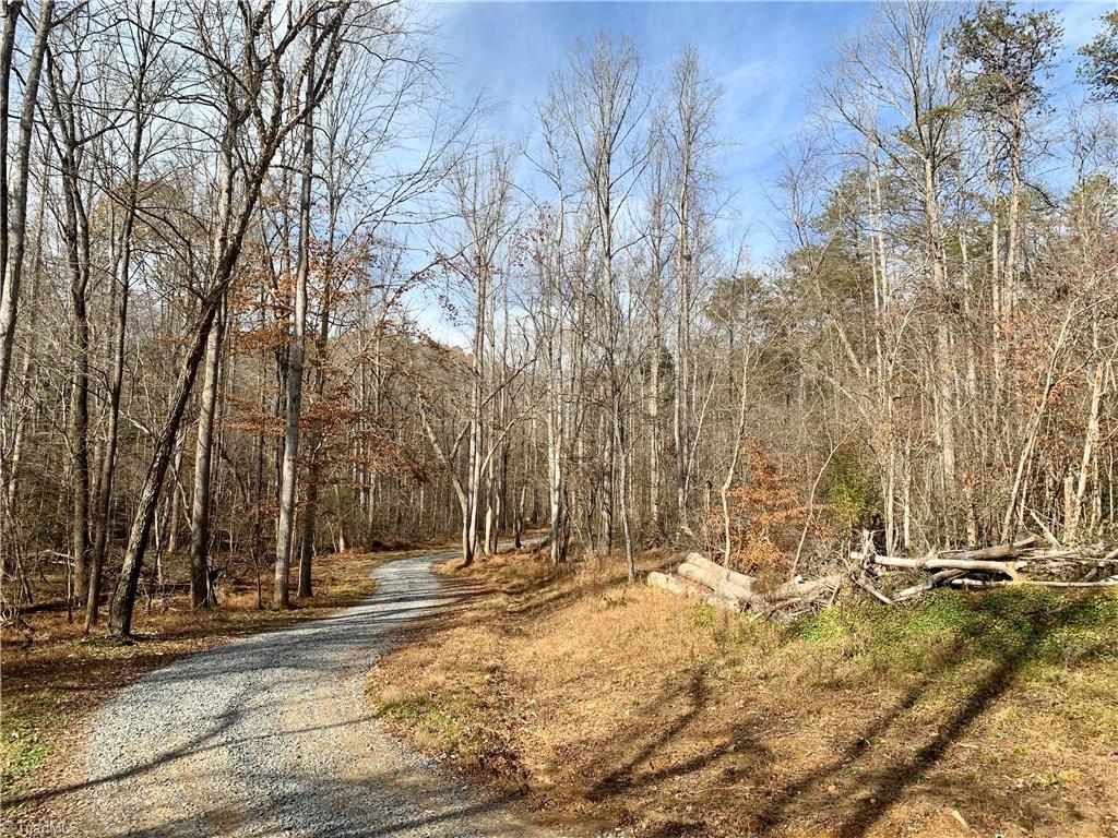 0 Mission Road Danbury, NC 27016 - Photo 6 of 27 Standing on gravel driveway/Access #2 on property