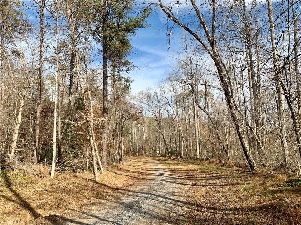 0 Mission Road Danbury, NC 27016 - Photo 7 of 27 Standing on gravel driveway/Access #2 on property