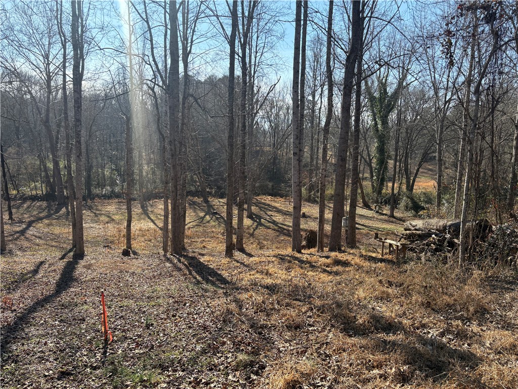 0 Abbott Lane Walhalla, SC 29691 - Photo 4 of 16 Lot