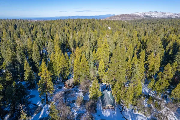 a view of a forest with a mountain