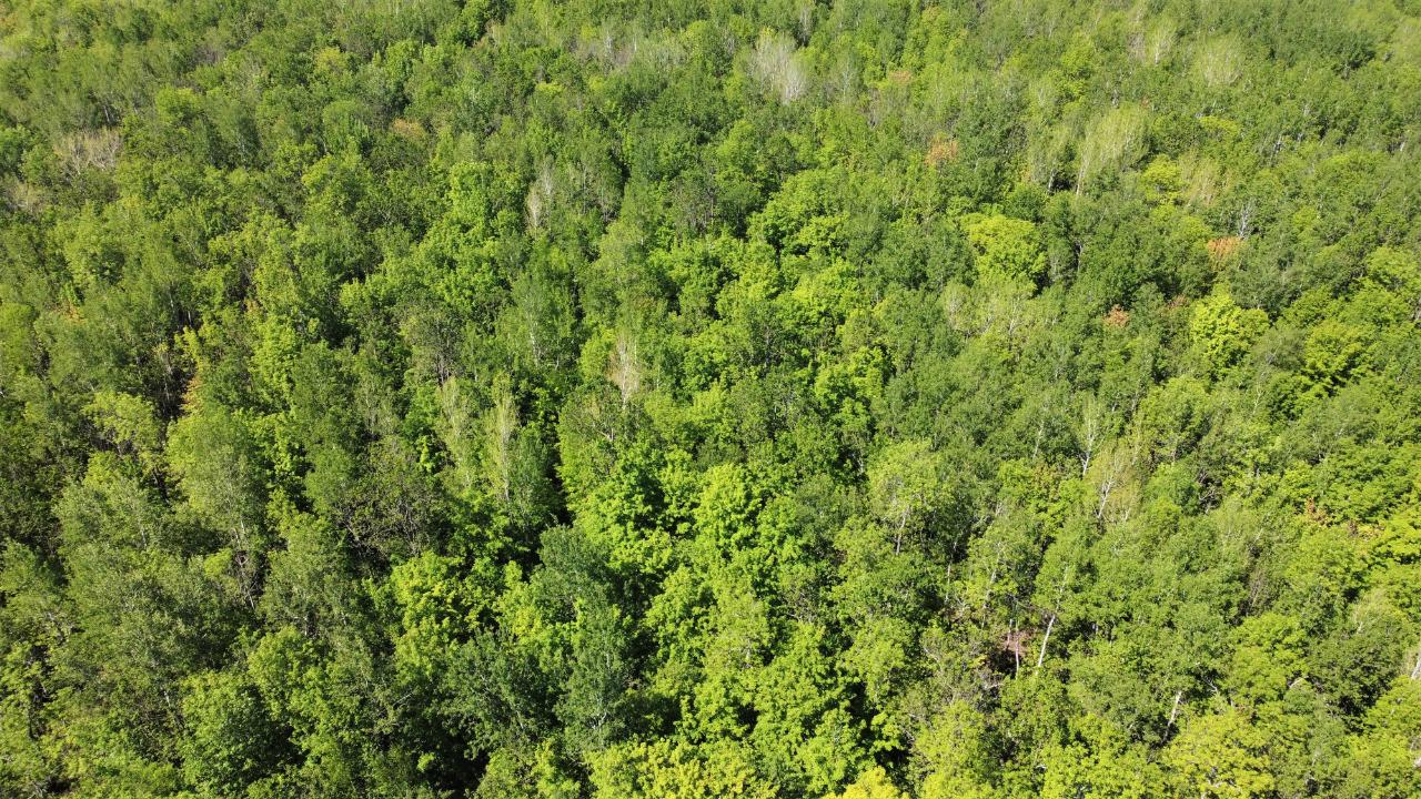On North Lake Head Road Hurley, WI 54534 - Photo 20 of 39 Gallery Image 20