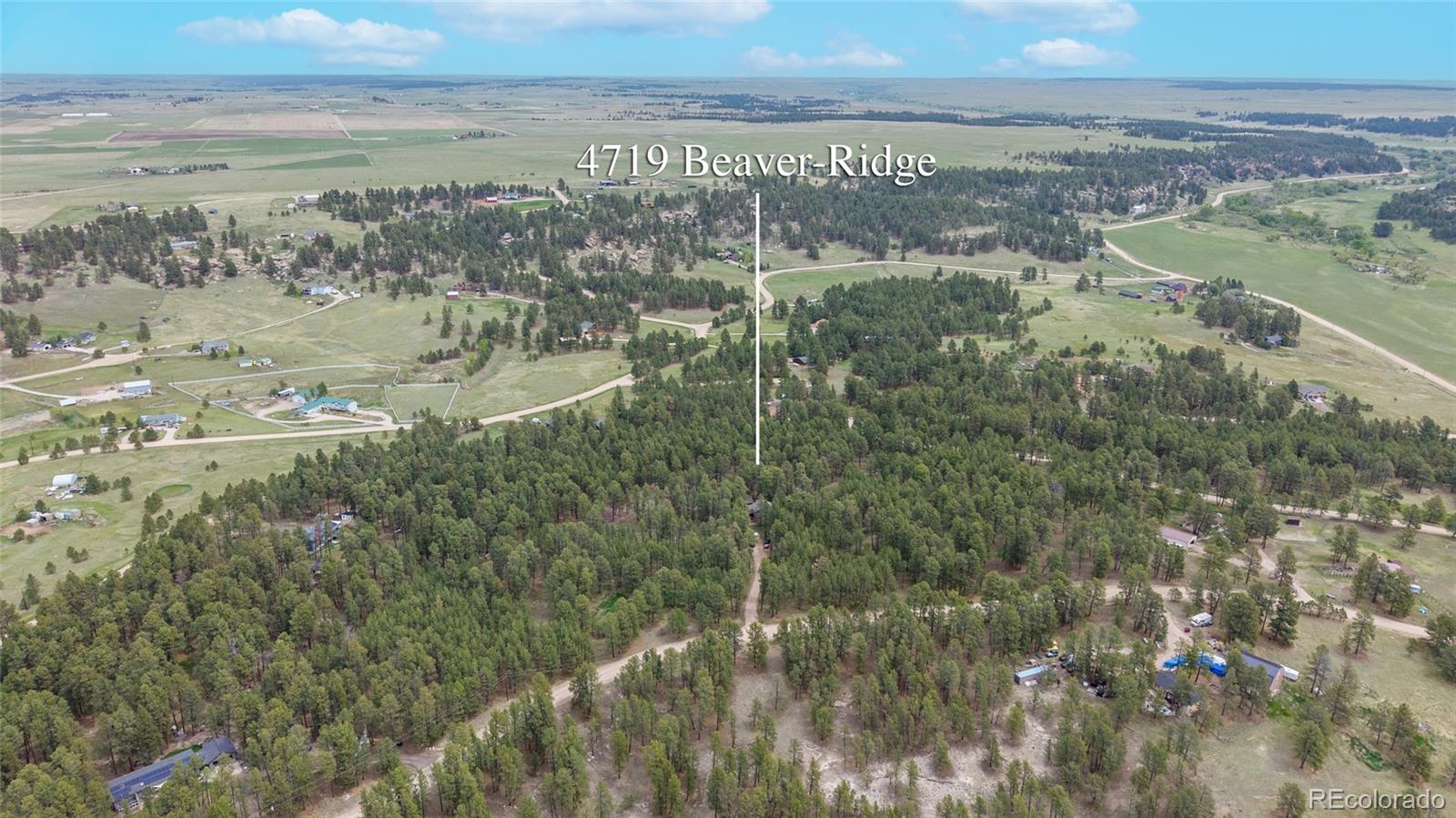 4719 Beaver-Ridge Elbert, CO 80106 - Photo 45 of 48