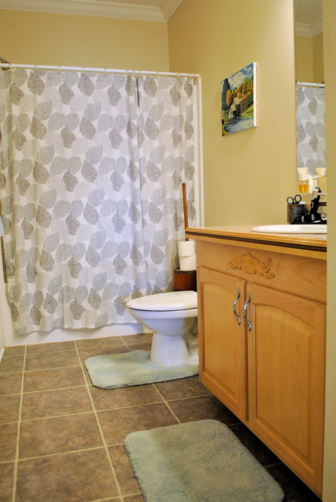 785 Union Valley Road Riner, VA 24149 - Photo 52 of 86 Hall Bath