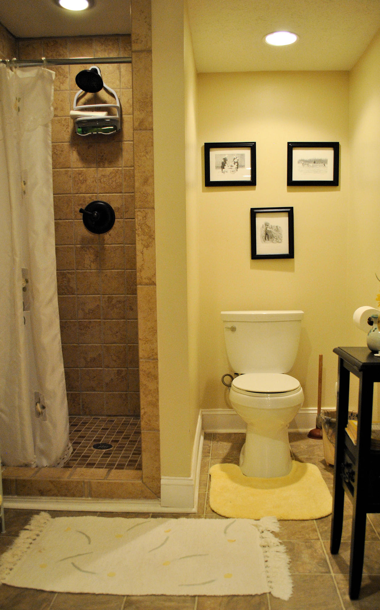 785 Union Valley Road Riner, VA 24149 - Photo 70 of 86 a bathroom with a toilet and a shower