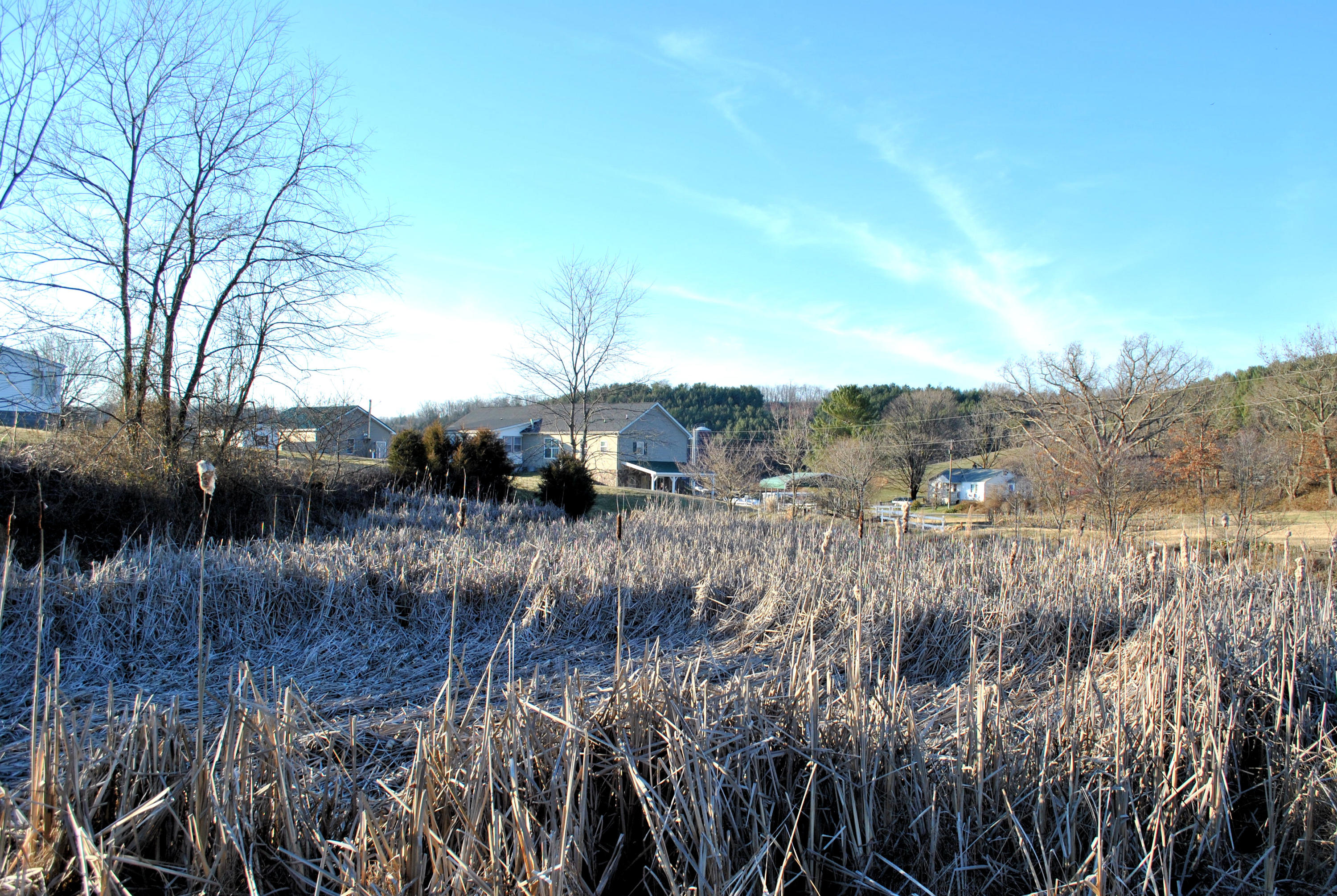 785 Union Valley Road Riner, VA 24149 - Photo 85 of 86 a view of river covered with trees