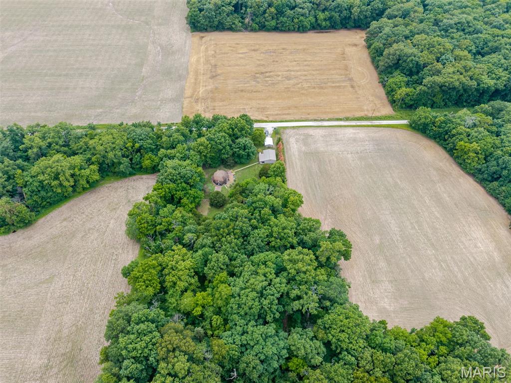12042 Dutch Ashley, IL 62808 - Photo 41 of 45