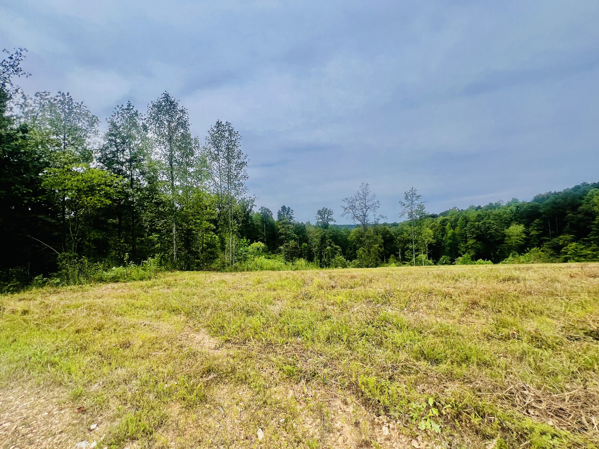 0 Kro Hollow Road Hohenwald, TN 38462 - Photo 1 of 35 Gallery Image 1