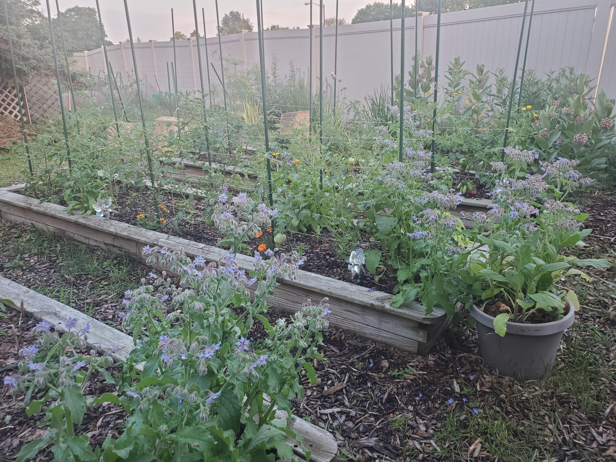 6848 Polaris Lane North Maple Grove, MN 55311 - Photo 26 of 35