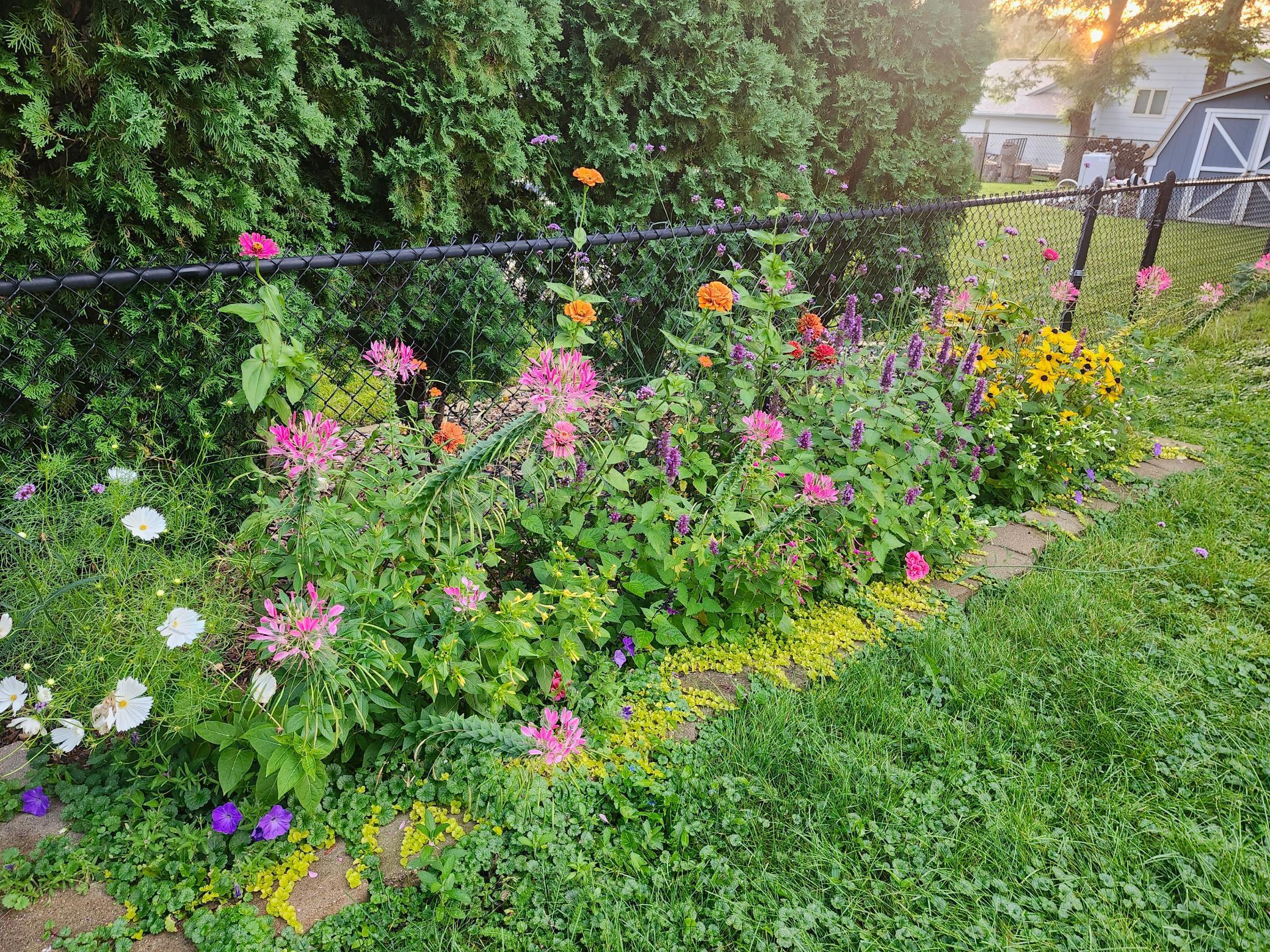 6848 Polaris Lane North Maple Grove, MN 55311 - Photo 29 of 35