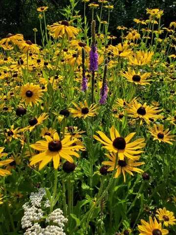 $400,000 | 6848 Polaris Lane North, Maple Grove, MN 55311