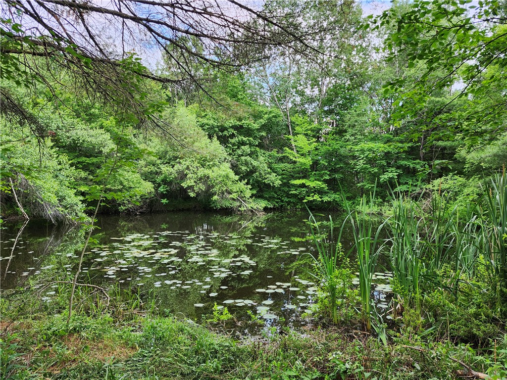 Houck Road Sidney, NY 13838 - Photo 4 of 6