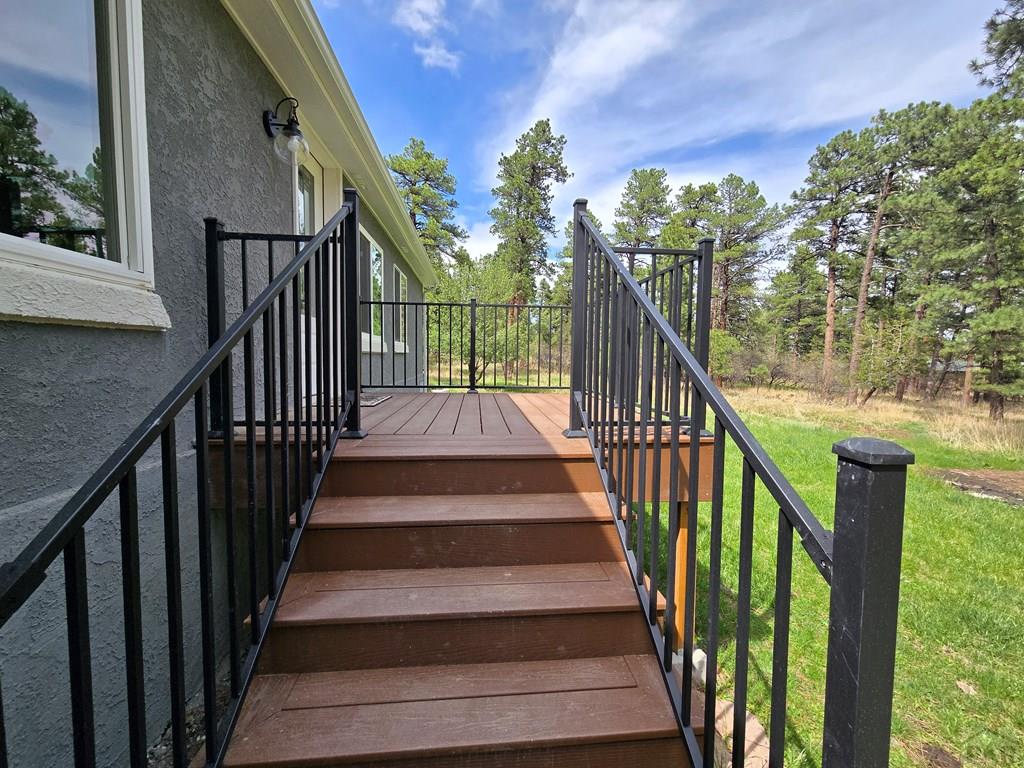 8229 Green Lane Rye, CO 81069 - Photo 19 of 24 a view of entryway