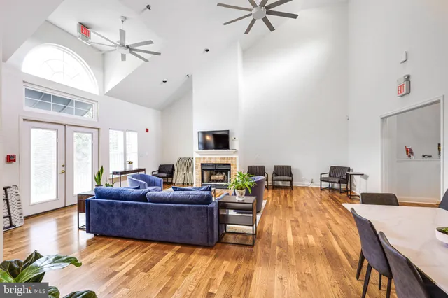 a view of a backyard with trees and wooden fence