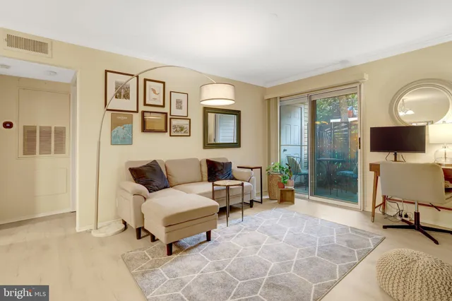 a living room with furniture flowerpot and a window