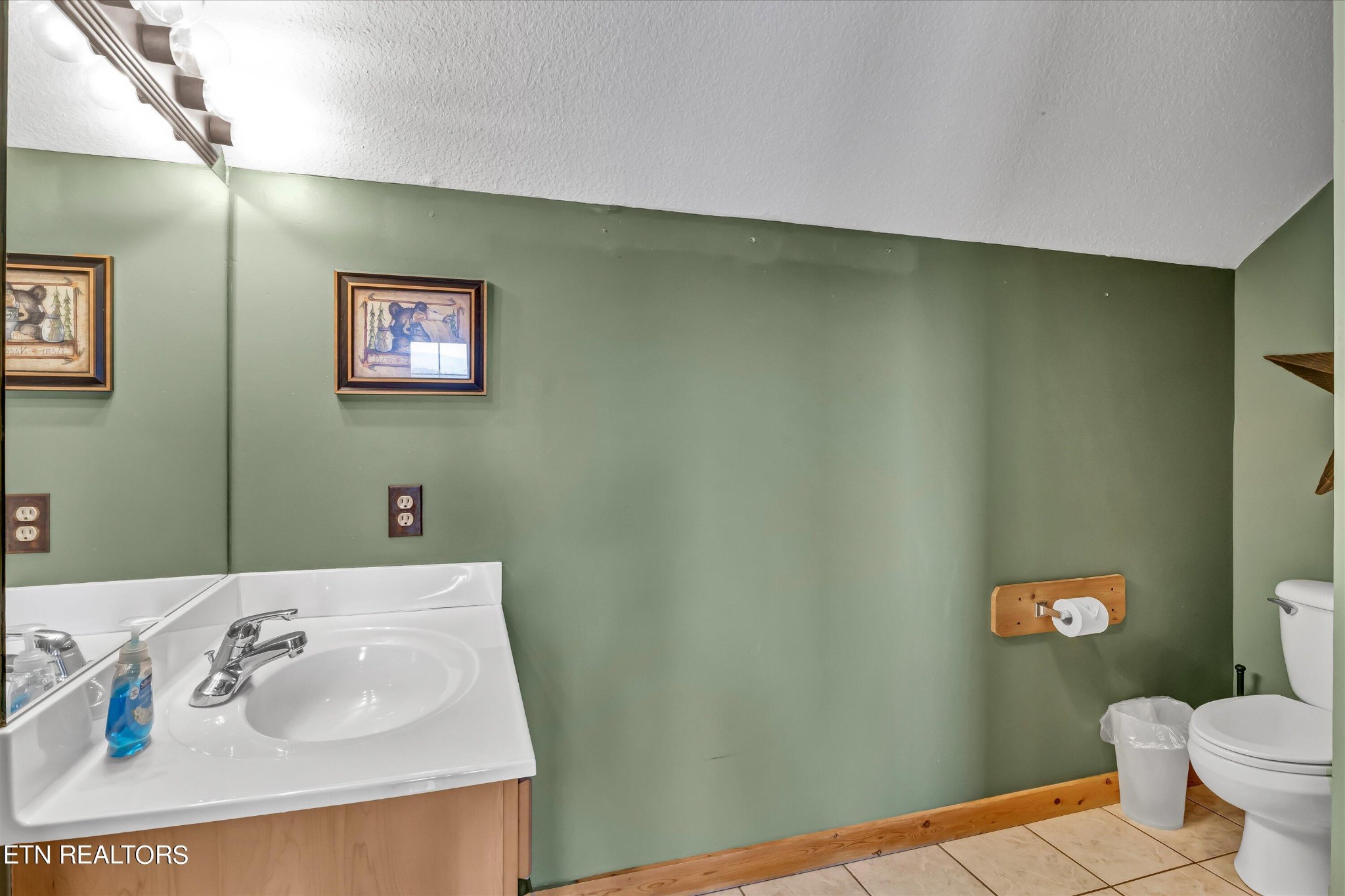 419 Big Bear Way Pigeon Forge, TN 37863 - Photo 15 of 31