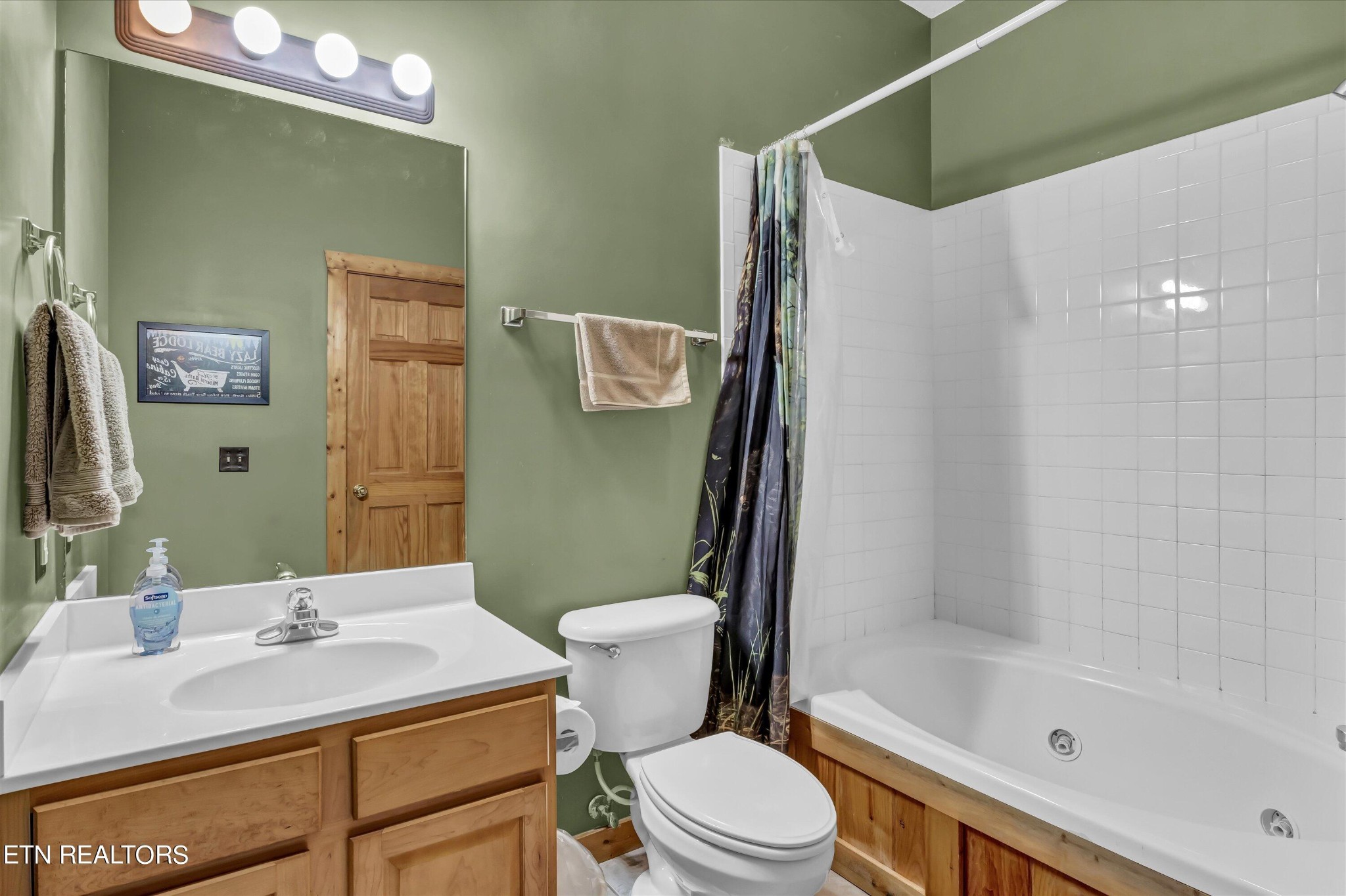 419 Big Bear Way Pigeon Forge, TN 37863 - Photo 25 of 31