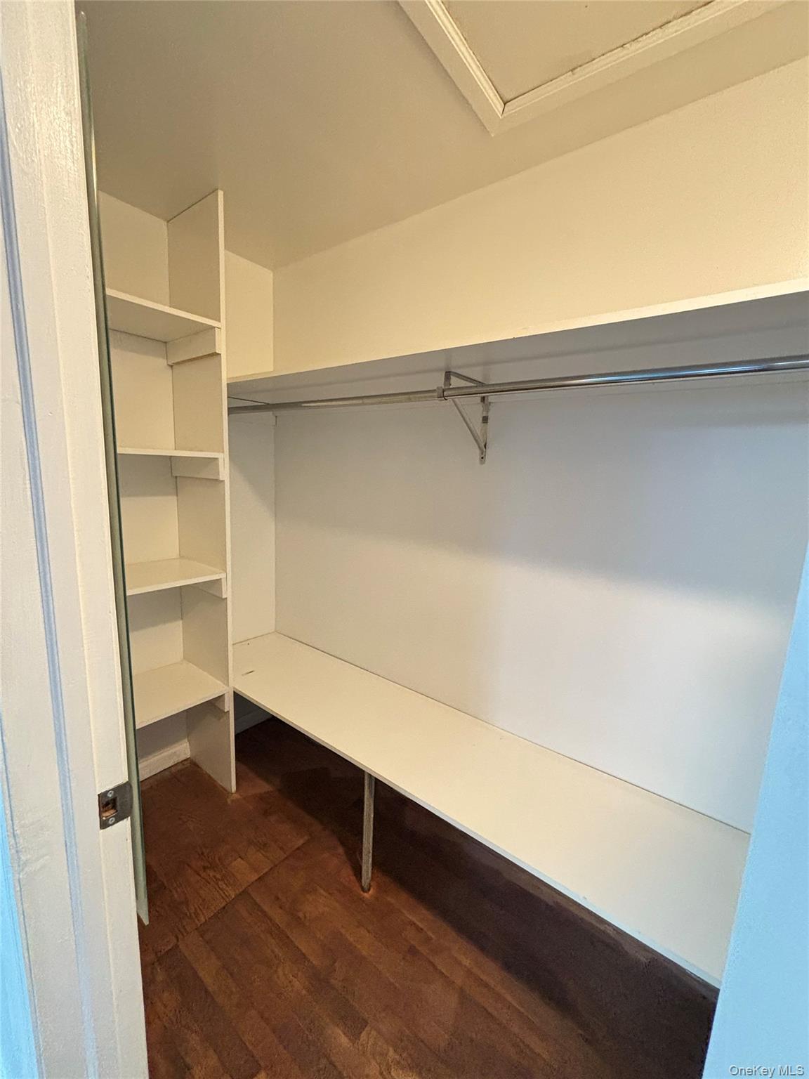 105 Seaman Road Jericho, NY 11753 - Photo 12 of 22 a view of an empty walk in closet