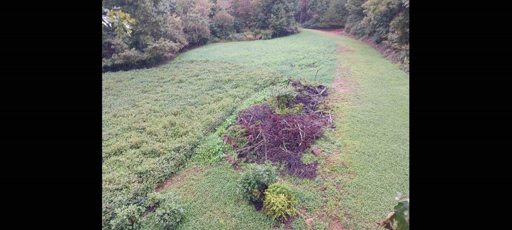 55-acres Greenberry Road Fancy Gap, VA 24328 - Photo 28 of 32 Gallery Image 28