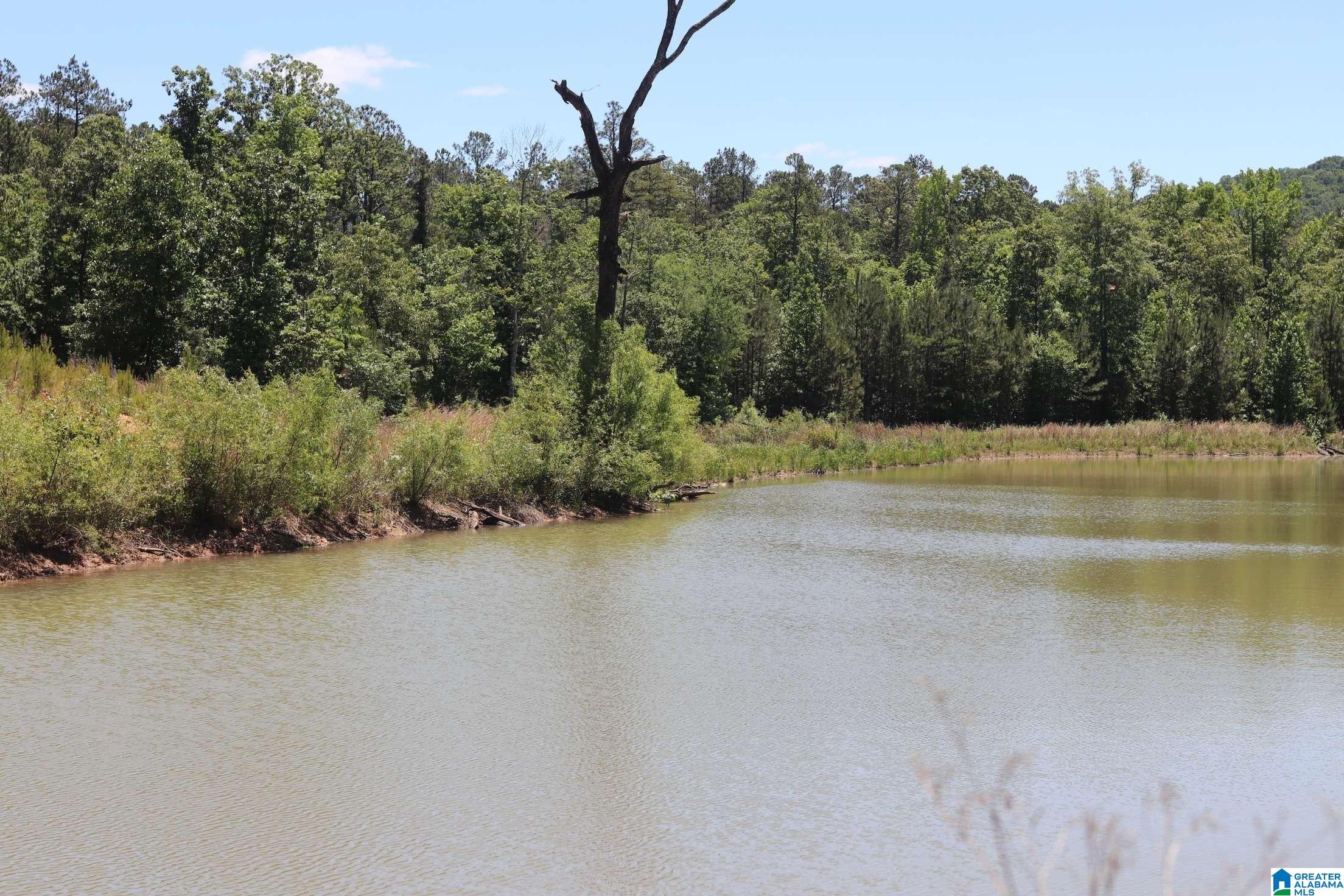2930 Shocco Springs Road Talladega, AL 35160 - Photo 41 of 93