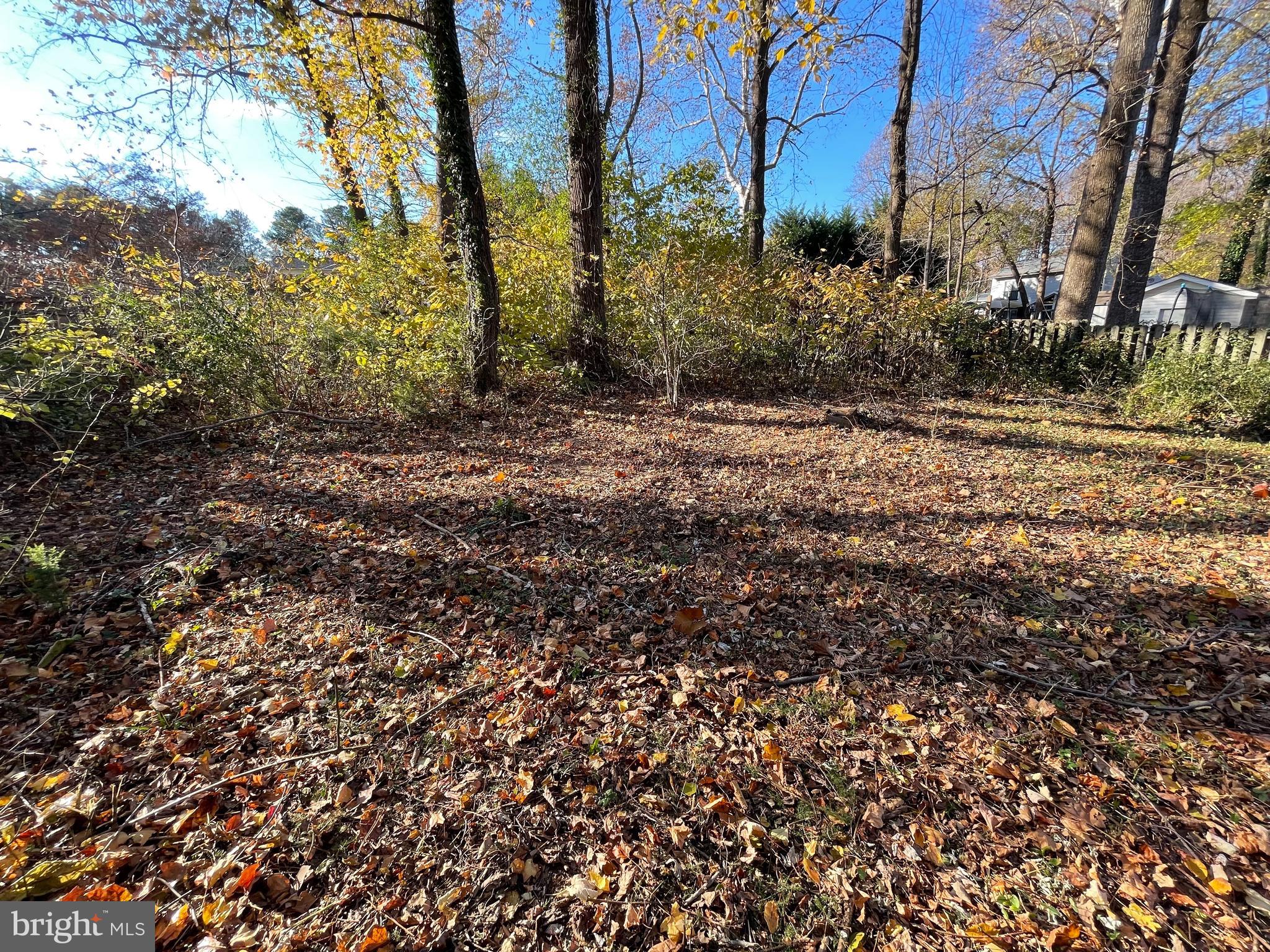 11647 Big Sandy Run Road Lusby, MD 20657 - Photo 8 of 11 Back yard